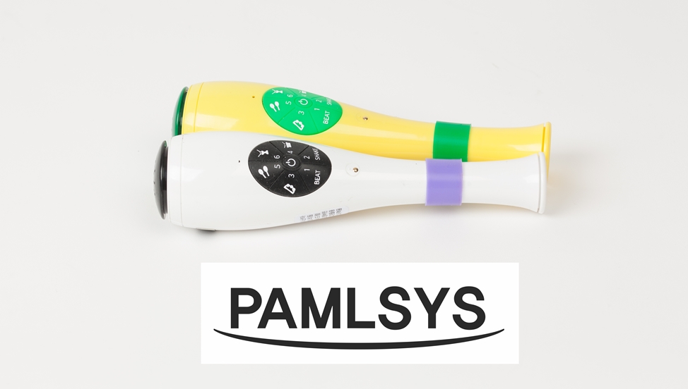 palmsys